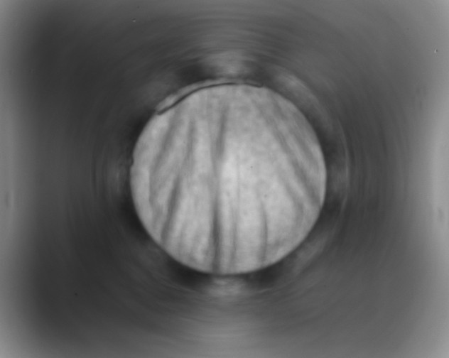 X0000088740376200706282149