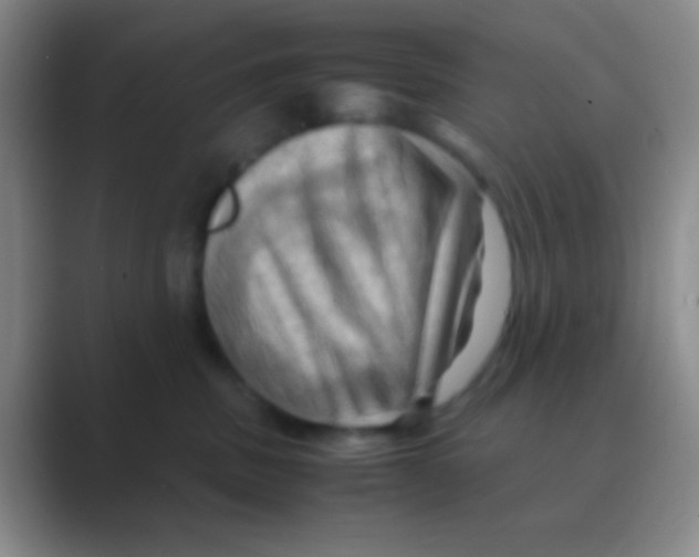 X0000088740379200706282149