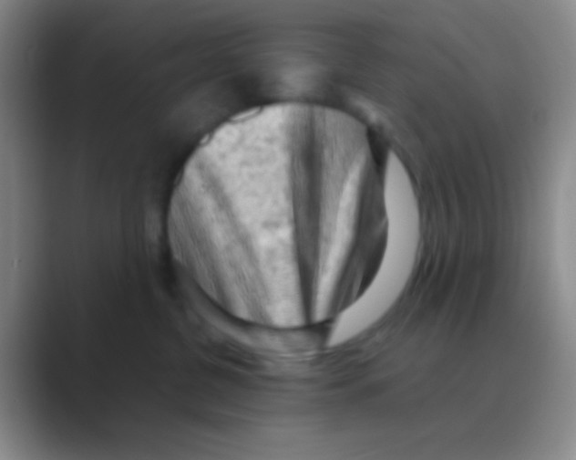 X0000088740380200706282149