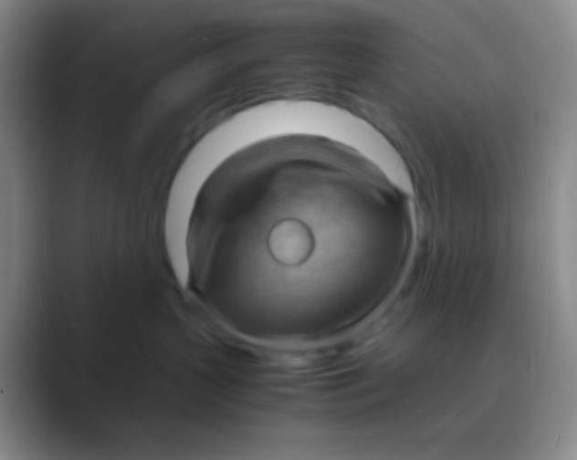 X0000088740383200706282149