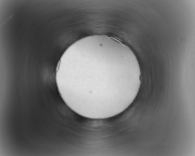 X0000088740384200706282149