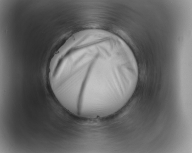 X0000088740386200706282148