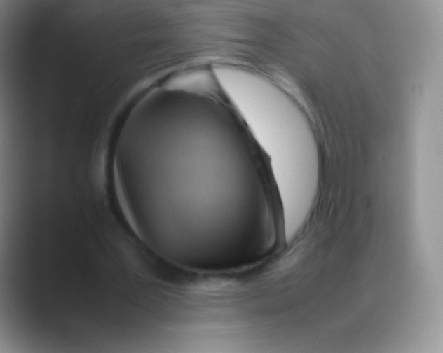 X0000088740387200706282148