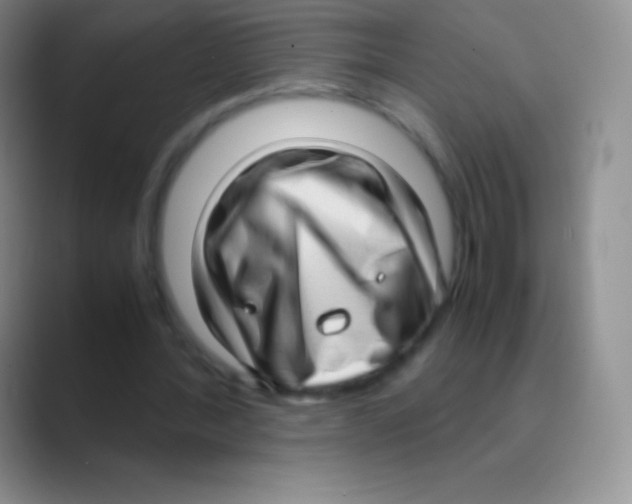 X0000088740388200706282148