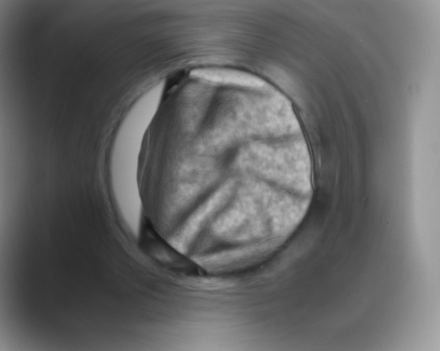 X0000088740389200706282148