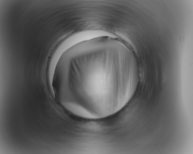 X0000088740390200706282148