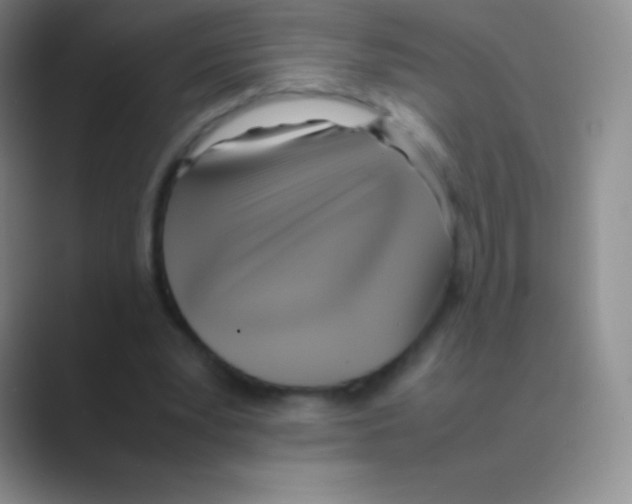 X0000088740391200706282148