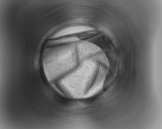 X0000088740392200706282148