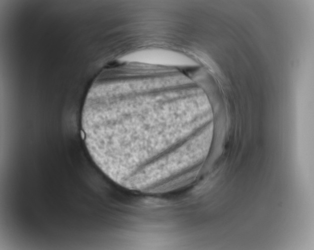 X0000088740393200706282148
