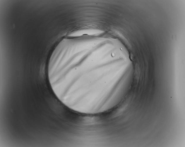 X0000088740394200706282148