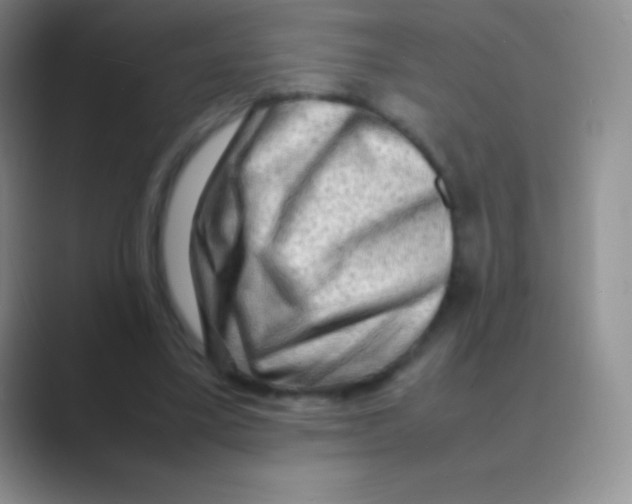 X0000088740395200706282148