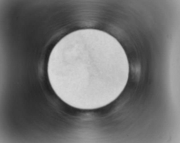 X0000088740396200706282148