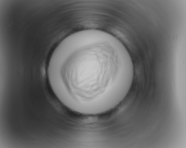 X0000088740398200706282148