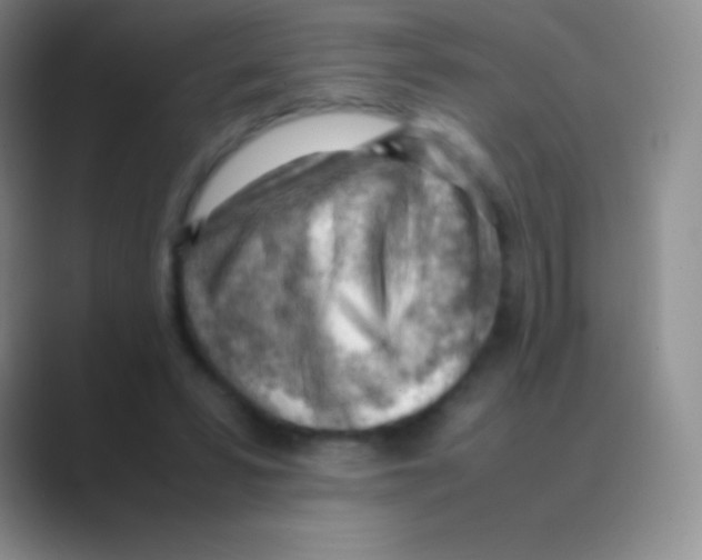 X0000088740399200706282148