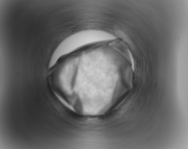 X0000088740401200706282148