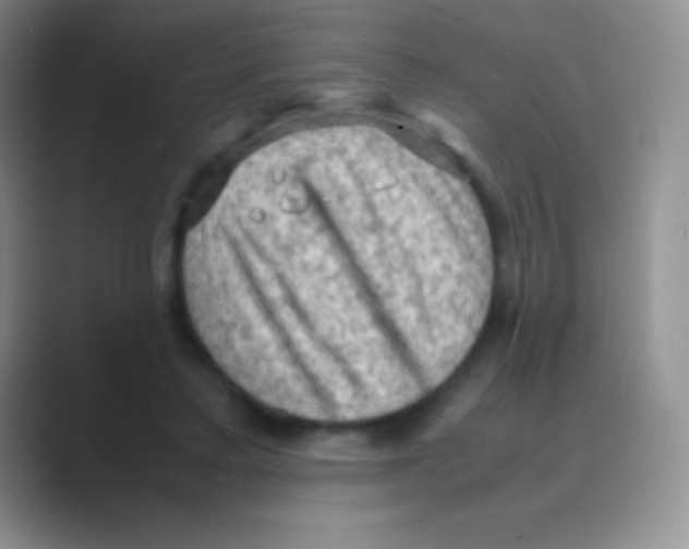 X0000088740403200706282148