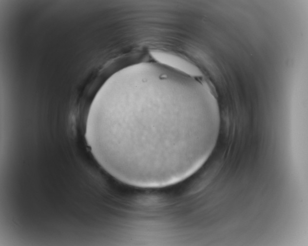 X0000088740404200706282148