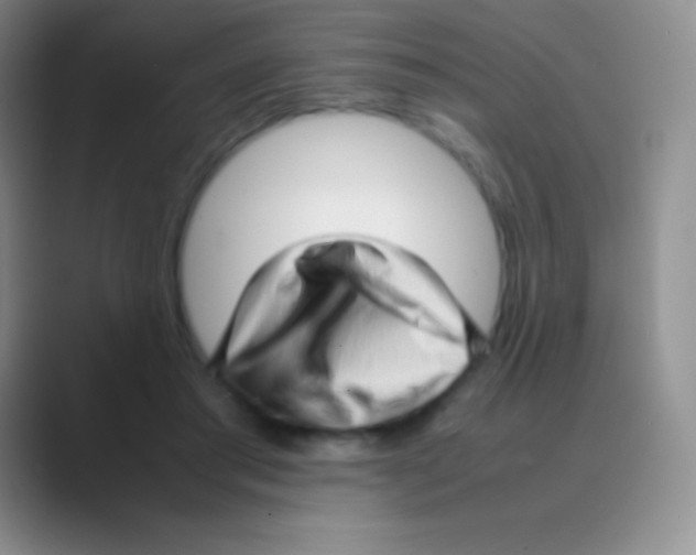 X0000088740405200706282148