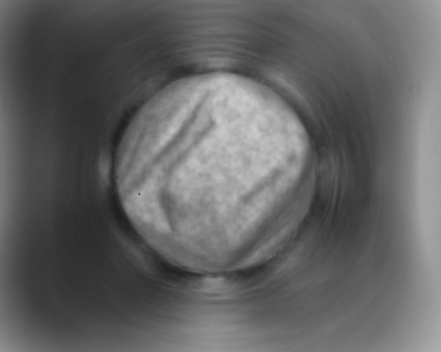 X0000088740406200706282148