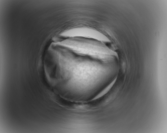 X0000088740407200706282148