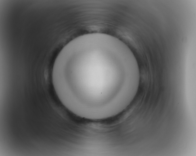 X0000088740408200706282148