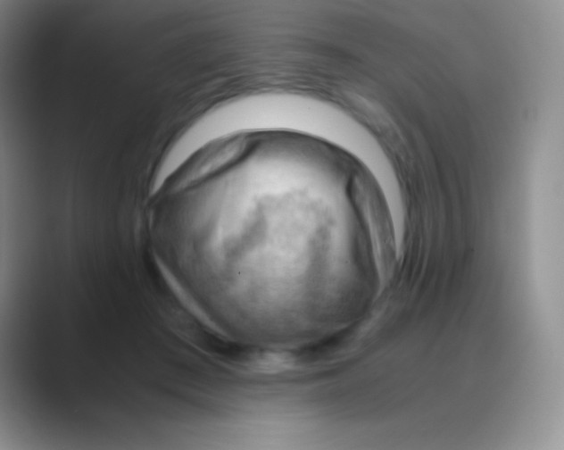 X0000088740409200706282148