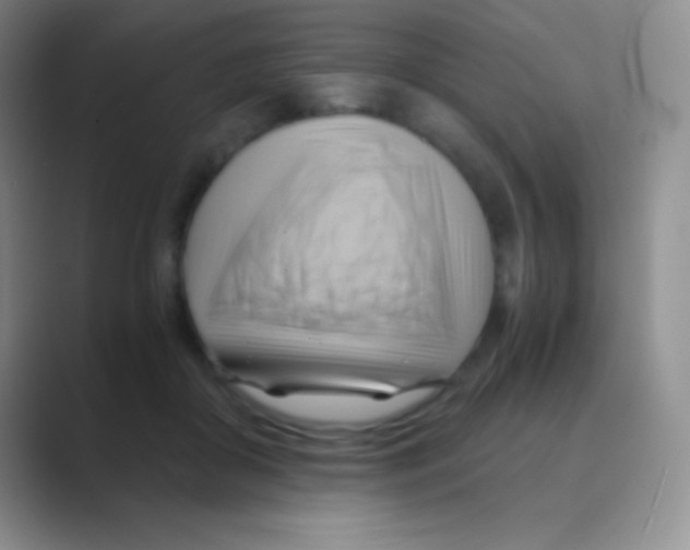 X0000088740410200706282148