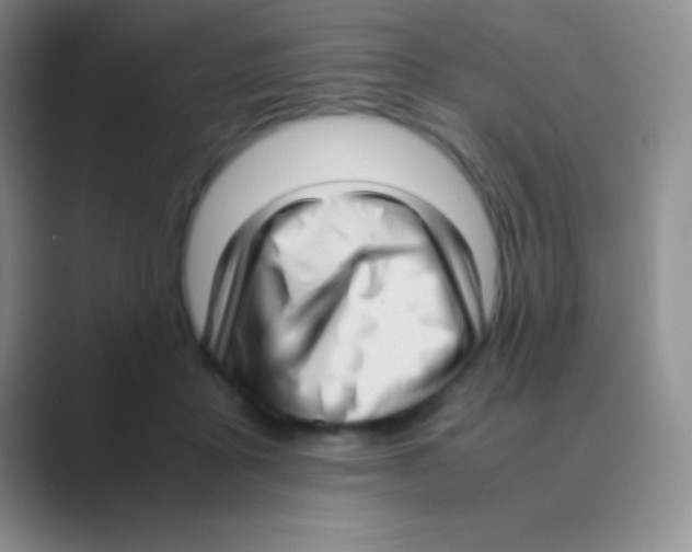 X0000088740411200706282148