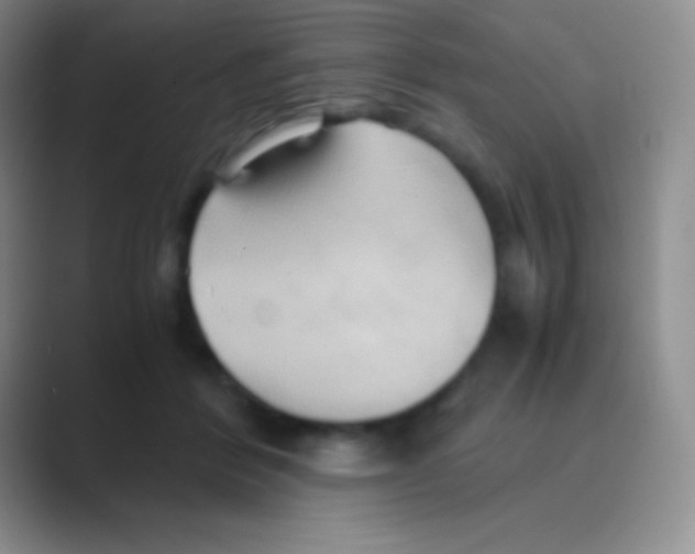 X0000088740412200706282148