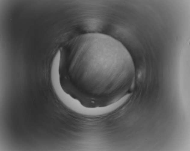 X0000088740416200706282148