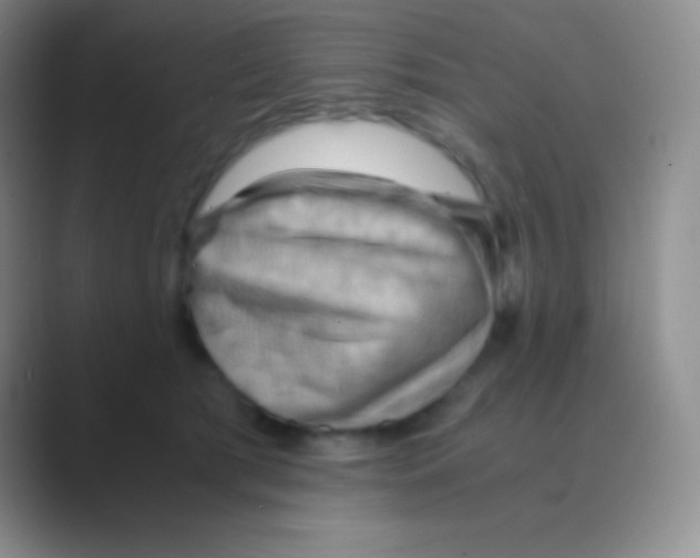 X0000088740417200706282148