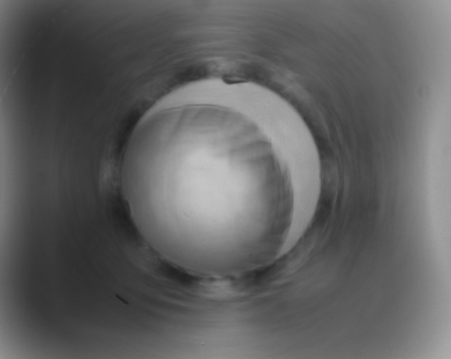 X0000088740419200706282148