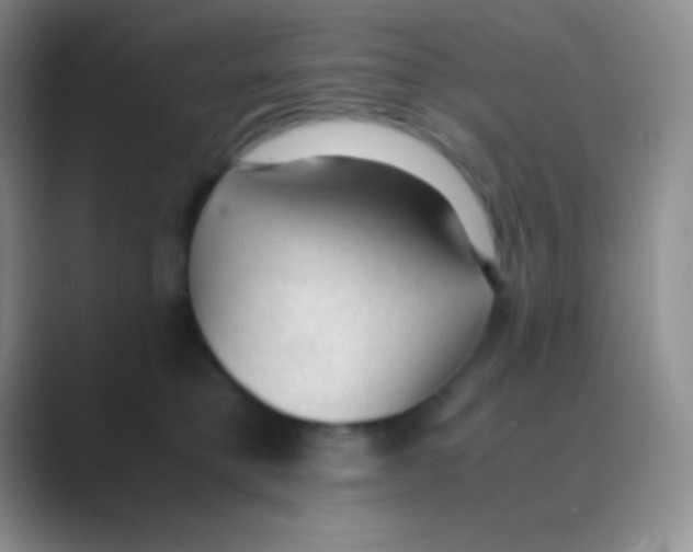X0000088740421200706282148