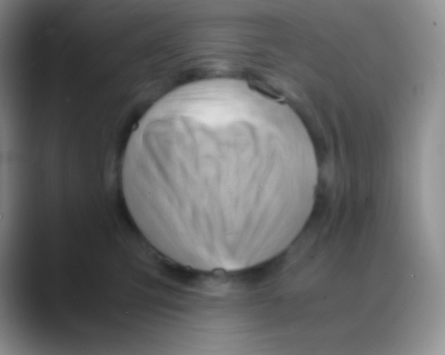 X0000088740423200706282148