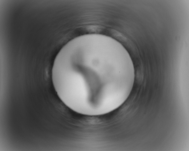 X0000088740424200706282148