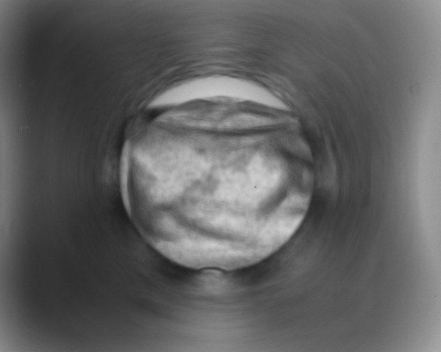 X0000088740425200706282148