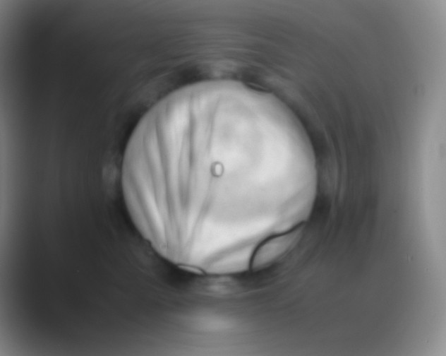X0000088740427200706282148