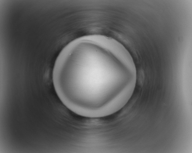 X0000088740428200706282148