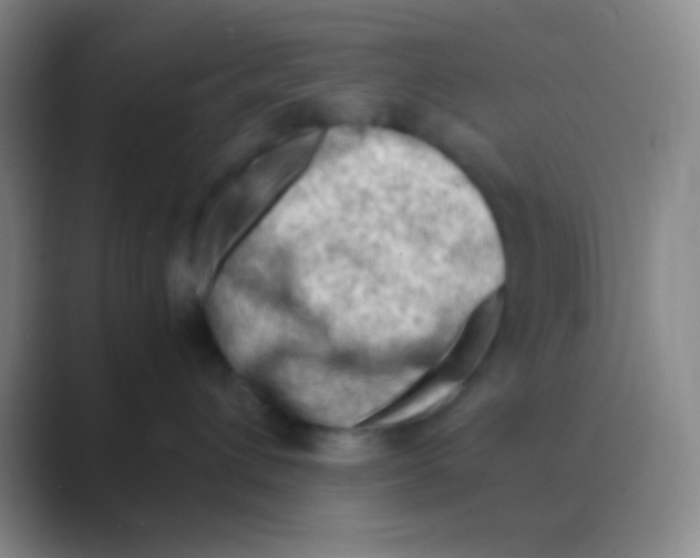 X0000088740432200706282148