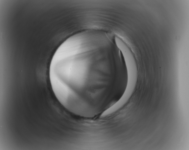 X0000088740434200706282147