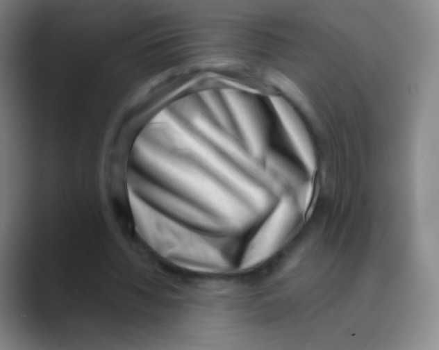 X0000088740436200706282147