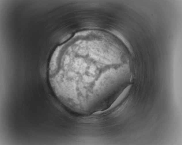 X0000088740437200706282147