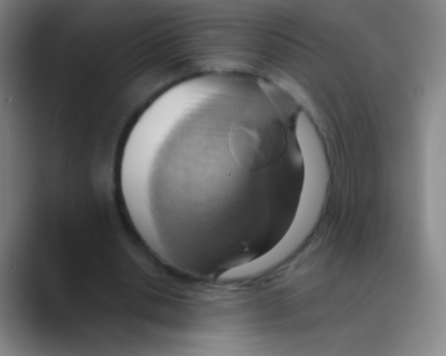 X0000088740438200706282147