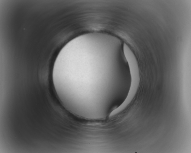 X0000088740440200706282147