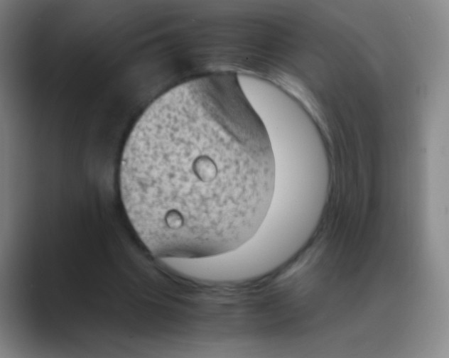 X0000088740441200706282147
