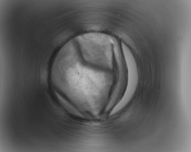 X0000088740444200706282147