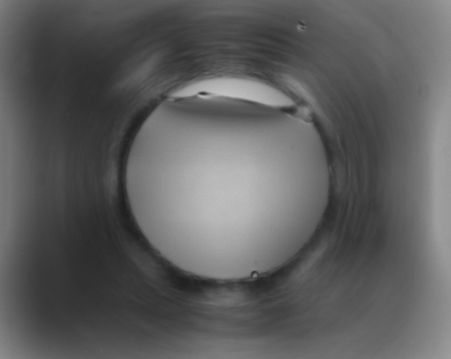 X0000088740447200706282147