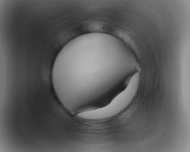 X0000088740449200706282147