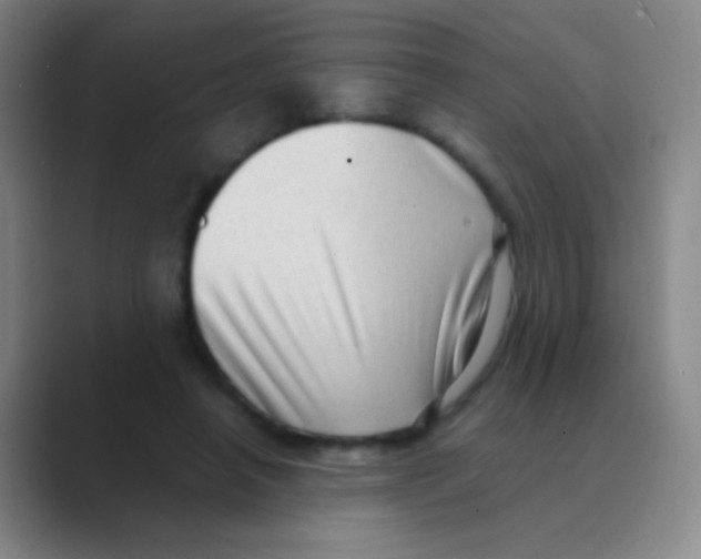 X0000088740450200706282147