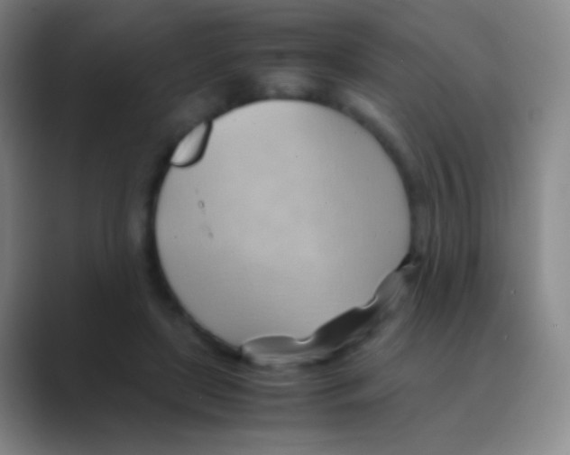 X0000088740451200706282147